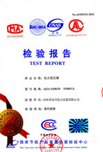 玉树电力变压器检测报告